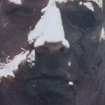 Michael Myers Close Up