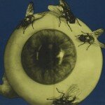 Giallo Month: Four Flies on Grey Velvet (1971)